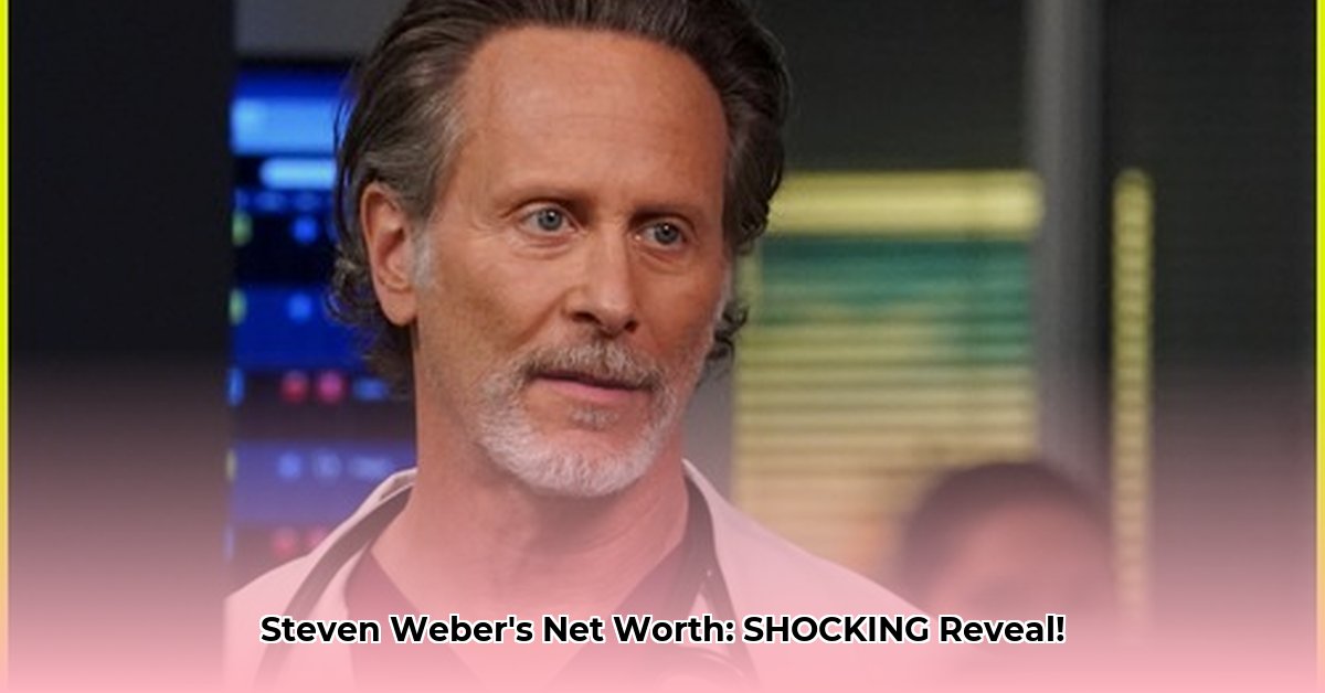 steven-weber-net-worth